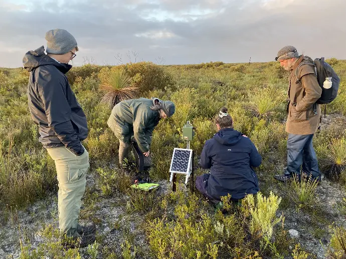 Western Ground Parrot Monitoring, Cape Arid (Credit: Fiona Fraser)