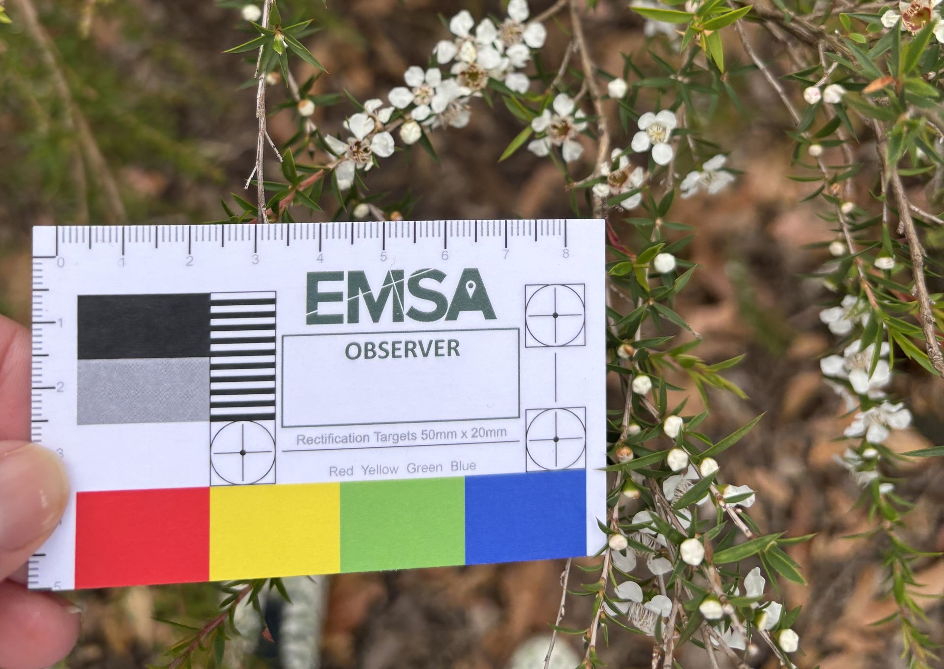 Equipment | EMSA